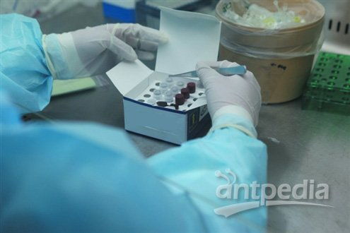 生物科技公司研发出两小时内检测h7n9新方法